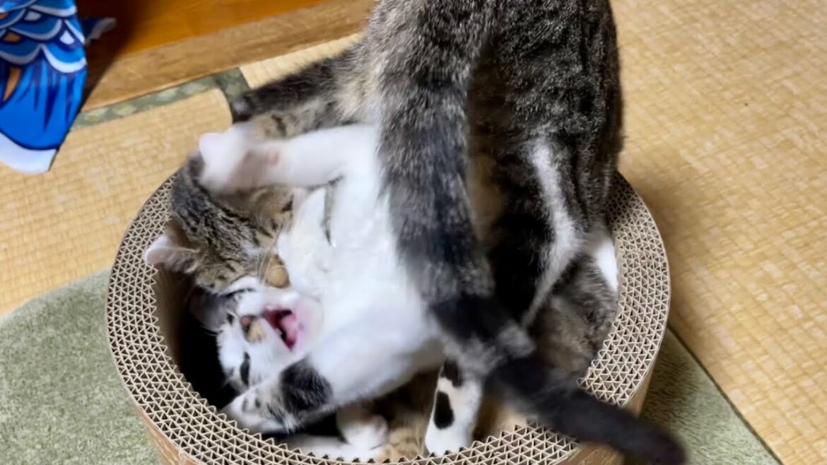 どういう状況？