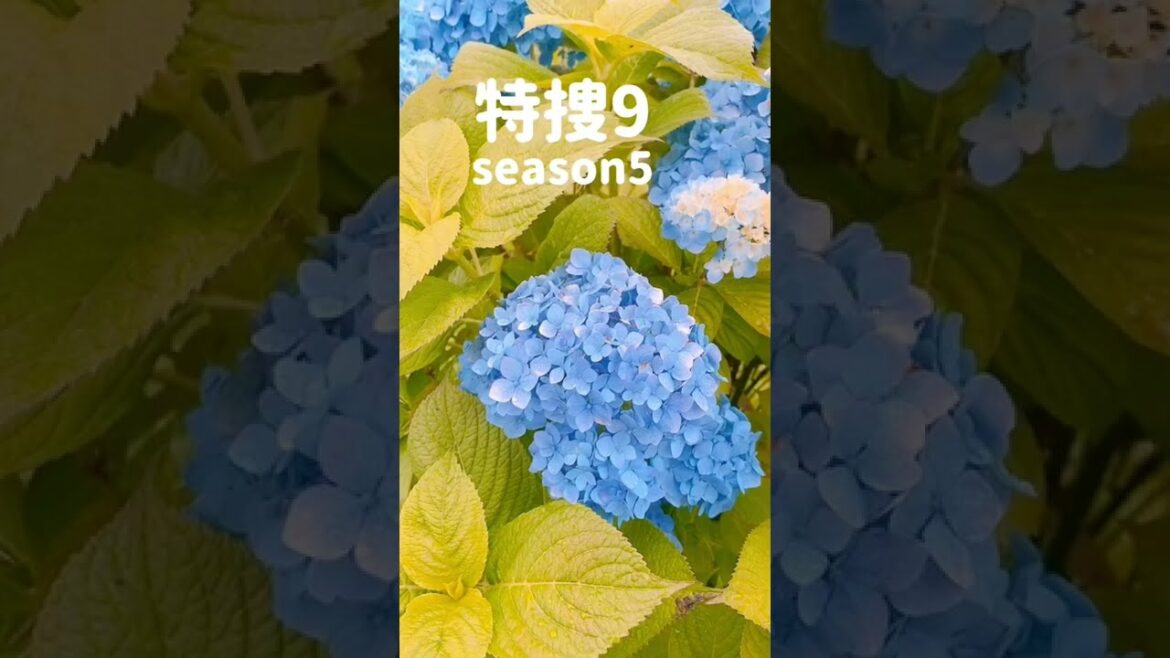 【特捜9】康二くんドラマ班のお仕事お疲れ様☆