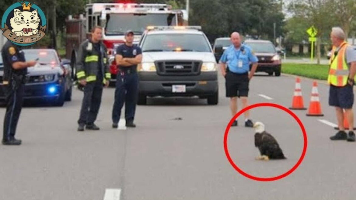 路上でパトカーを止めたタカ。警察はおかしいと思ってついていくと、信じられない光景が・・ 路上でパトカーを止めたタカ。警察はおかしいと思ってついていくと、信じられない光景が・・
