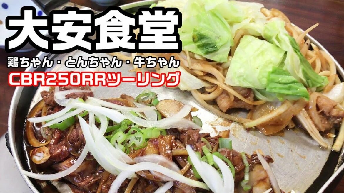 新型CBR250RRで鶏ちゃん、とんちゃん、牛ちゃんツーリング