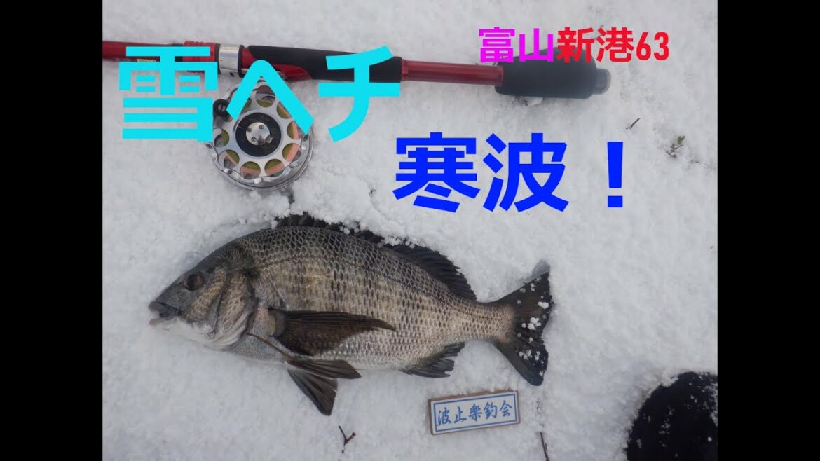 寒波襲来！ヘチ釣り富山63