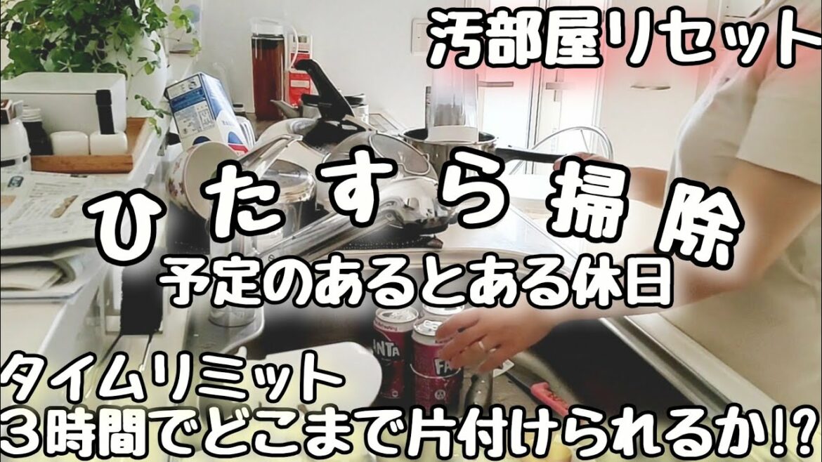 【リアル汚部屋リセット】ワーママ/とある休日/タイムリミット３時間でひたすら掃除