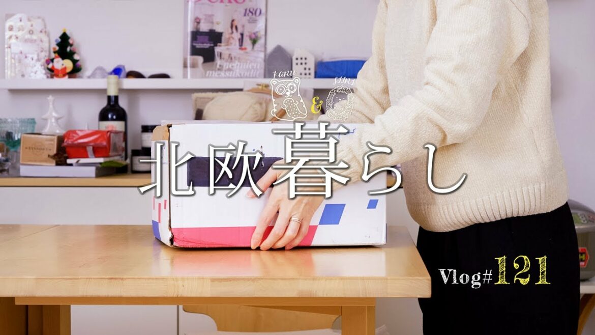 【 北欧暮らし 】 待ちに待った日本からの国際便 | 夫婦で過ごすフィンランドの年越し | クリスマスのプレゼント
