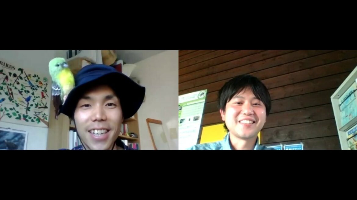 シジュウカラの巣箱を設置する時のコツを大紹介
