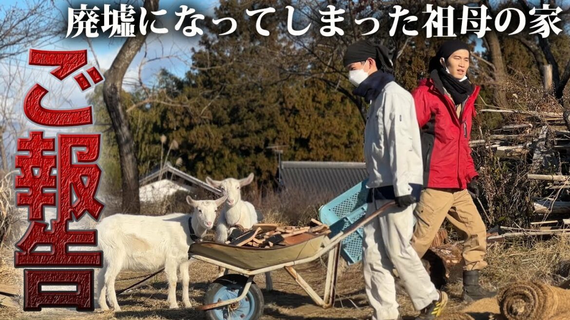 【大切なお知らせ】廃墟の瓦礫を片付ける、なんでもない日々にある幸せ【186日目】