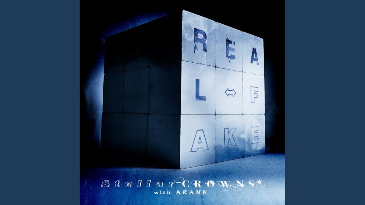 REAL⇔FAKE