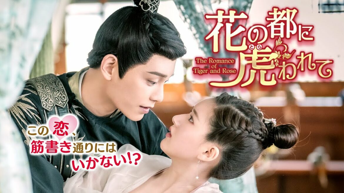 「花の都に虎（とら）われて～The Romance of Tiger and Rose～」2021.11.3 リリースBlu-ray&DVD予告編