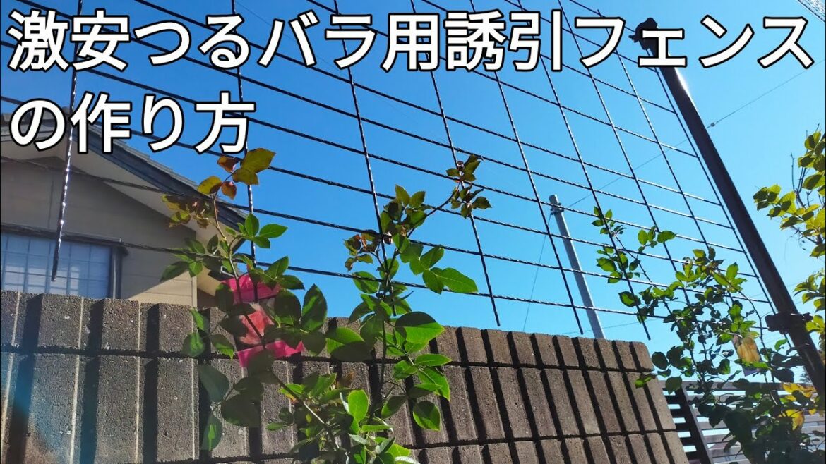 【庭diy】【薔薇庭】超簡単！つるバラの誘引フェンスを激安diyで作ってみた。