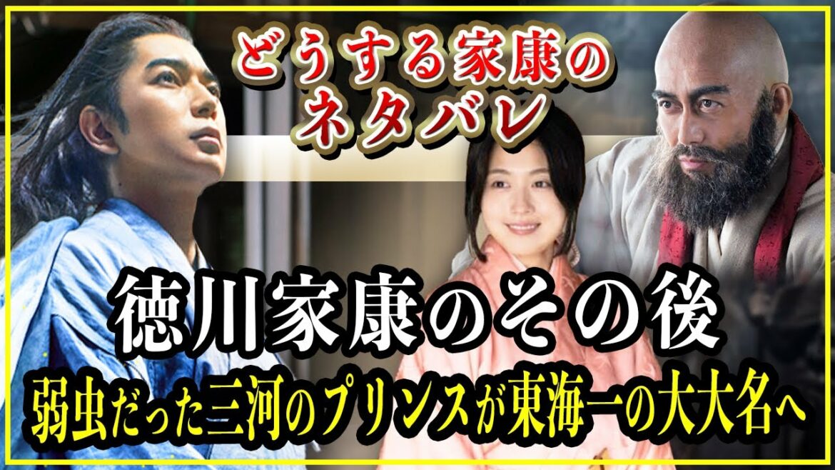 【どうする家康】徳川家康(松平元康)のその後...弱小国・三河の主で弱虫だった男が東海一の大大名へ！【歴史雑学】