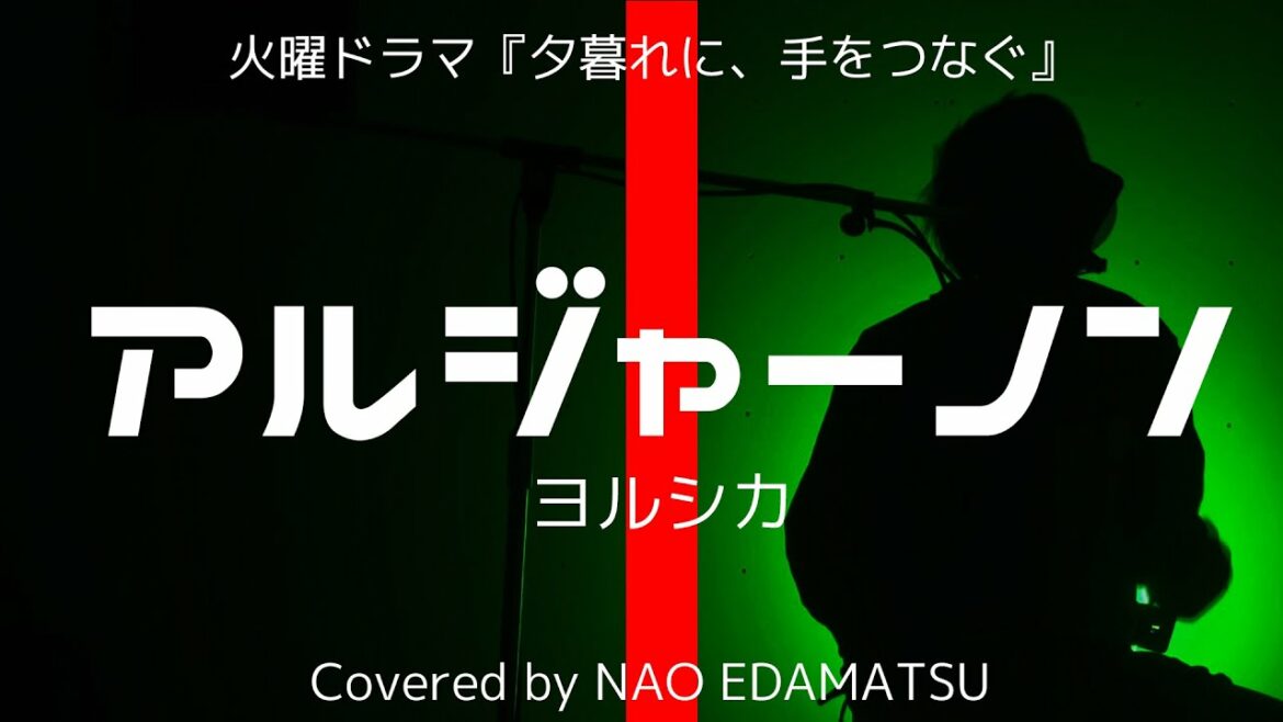 歌詞付き ヨルシカ『アルジャーノン』夕暮れに、手をつなぐ主題歌 coverd by 枝松ナオ