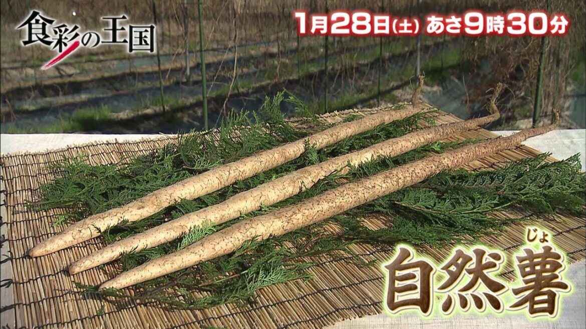 【食彩の王国】2023年1月28日（土）放送 予告動画