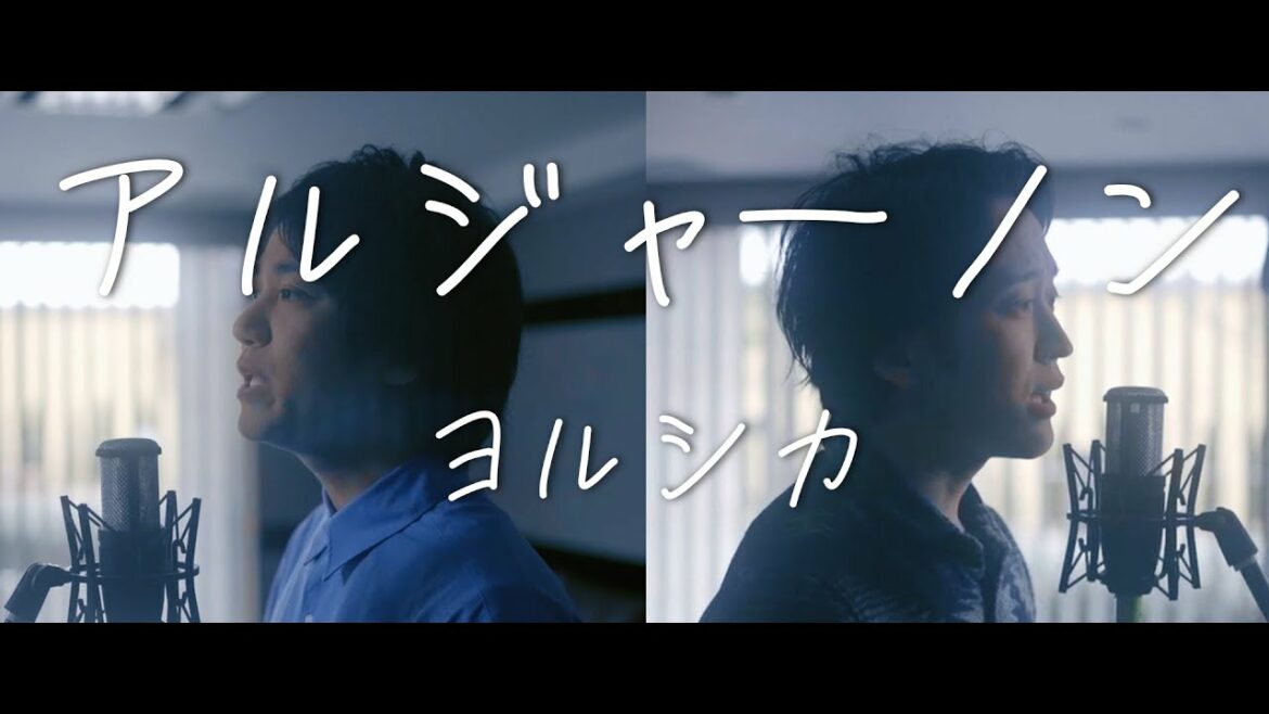 ヨルシカ「アルジャーノン」TBS系火曜ドラマ「夕暮れに、手をつなぐ」主題歌【歌ってみた】【弾いてみた】Cover by monopole