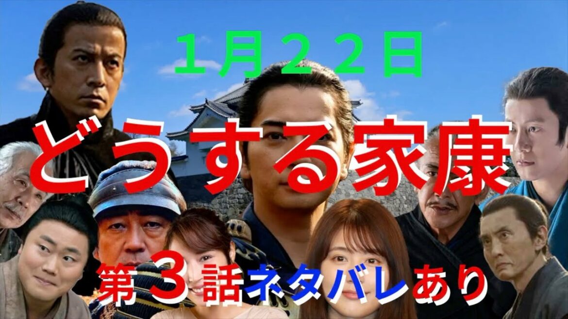 どうする家康　第3話　ネタバレ　三河平定