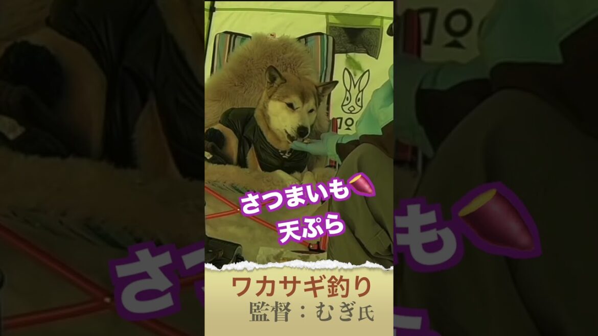 そこにワカサギはあるんかい？