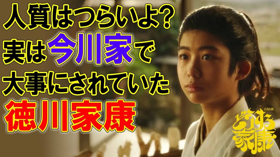 今川家人質時代の徳川家康と岡崎家臣団について　#どうする家康