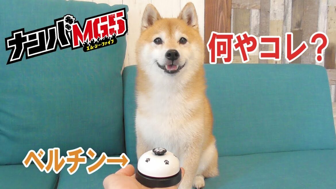 【ナンバMG5】ドラマのために技増やしておきましょ