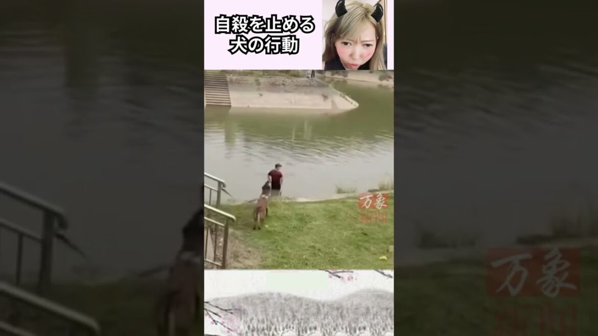 【感動】自殺を止める犬の姿がイケメンすぎた。 China TikTok reaciton #shorts
