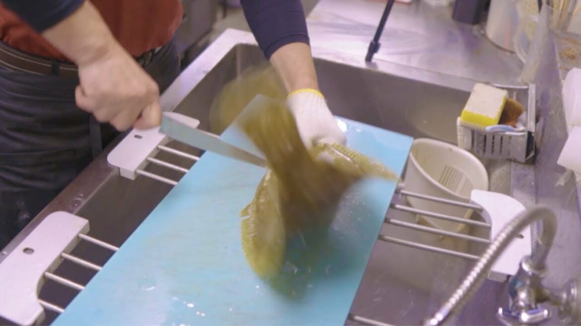 【職人技】活ヒラメをさばく大将！ 生きたヒラメの捌き方 刺身 活魚居酒屋 姫舟 Japanese Street Food 孤独のグルメ