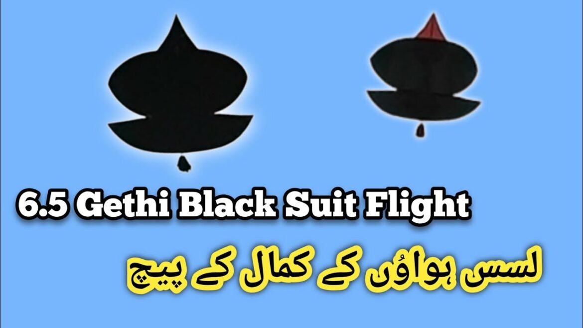 Morning Nice Paich | Biggest Patang Flight | Lush Hawa | Cross Paich | Patang Fighting | Kite Flying