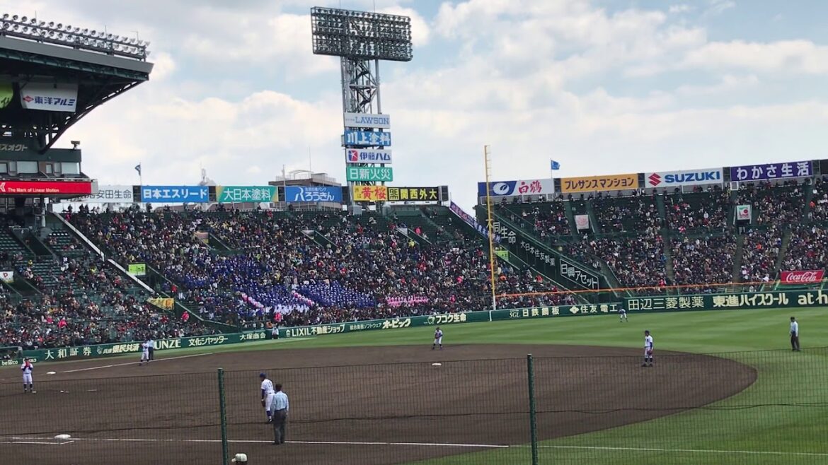 【習志野高校】東京スカパラ「Paradise Has No Border」(2019センバツ甲子園準決勝)