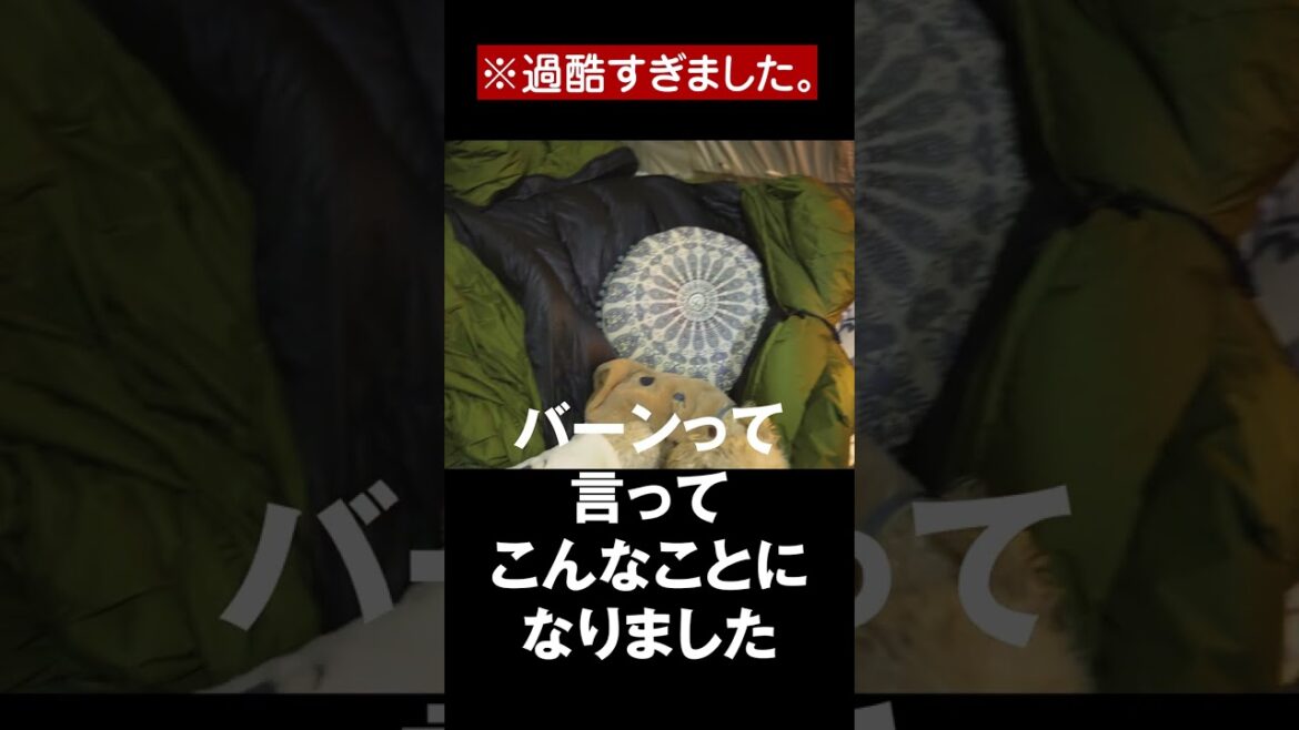 【過酷】暴風雨キャンプでベッドも使えなくなりました。#shorts