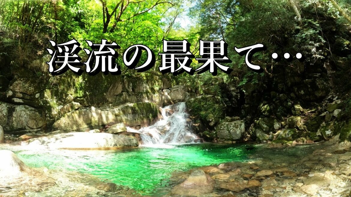 【源流釣り】渓流の最果てに待っていたのは怪生物と神秘的なスポット！最上流域でイワナ＆アマゴ爆釣【渓流釣り】