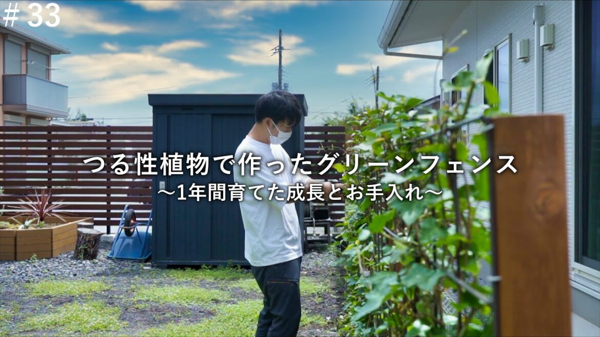 つる性植物で作ったグリーンフェンスの１年間の成長と手入れ【庭づくりDIY#33】