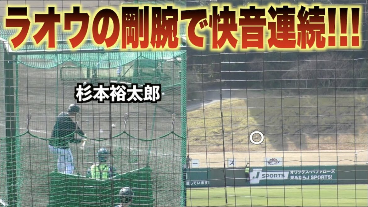 フェンス直撃に柵越えも！特打で杉本裕太郎が持ち味の長打力を存分に披露する！#オリックス#バファローズ#キャンプ