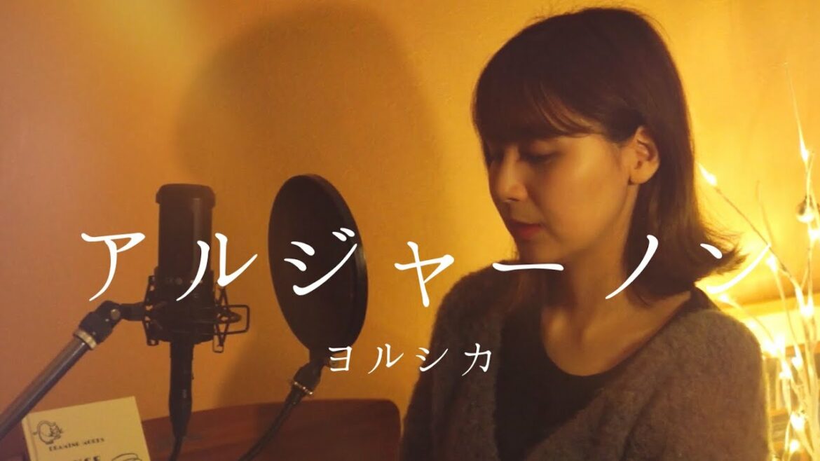 アルジャーノン／ヨルシカ covered by キノシタユイ (ドラマ『夕暮れに、手をつなぐ』主題歌)