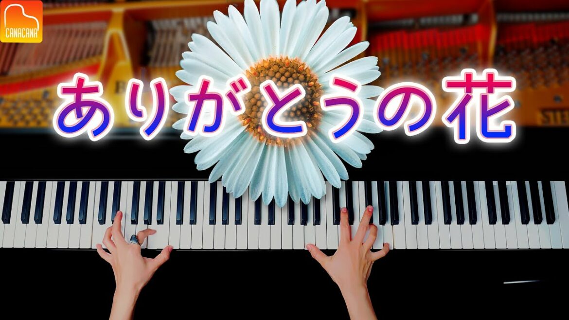 「ありがとうの花」ピアノ - Piano Cover - CANACANA