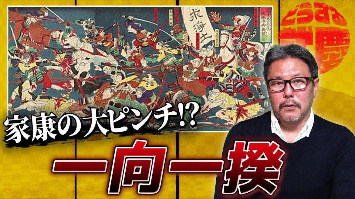 どうする就慶！家康の大ピンチ！？一向一揆を詳しく解説！