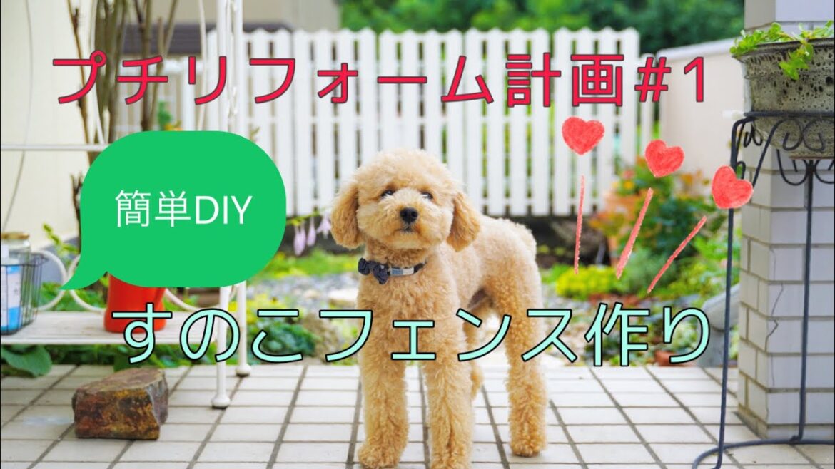 【ガーデニングvlog】簡単DIYすのこでフェンスを作る/クレマチスの開花/