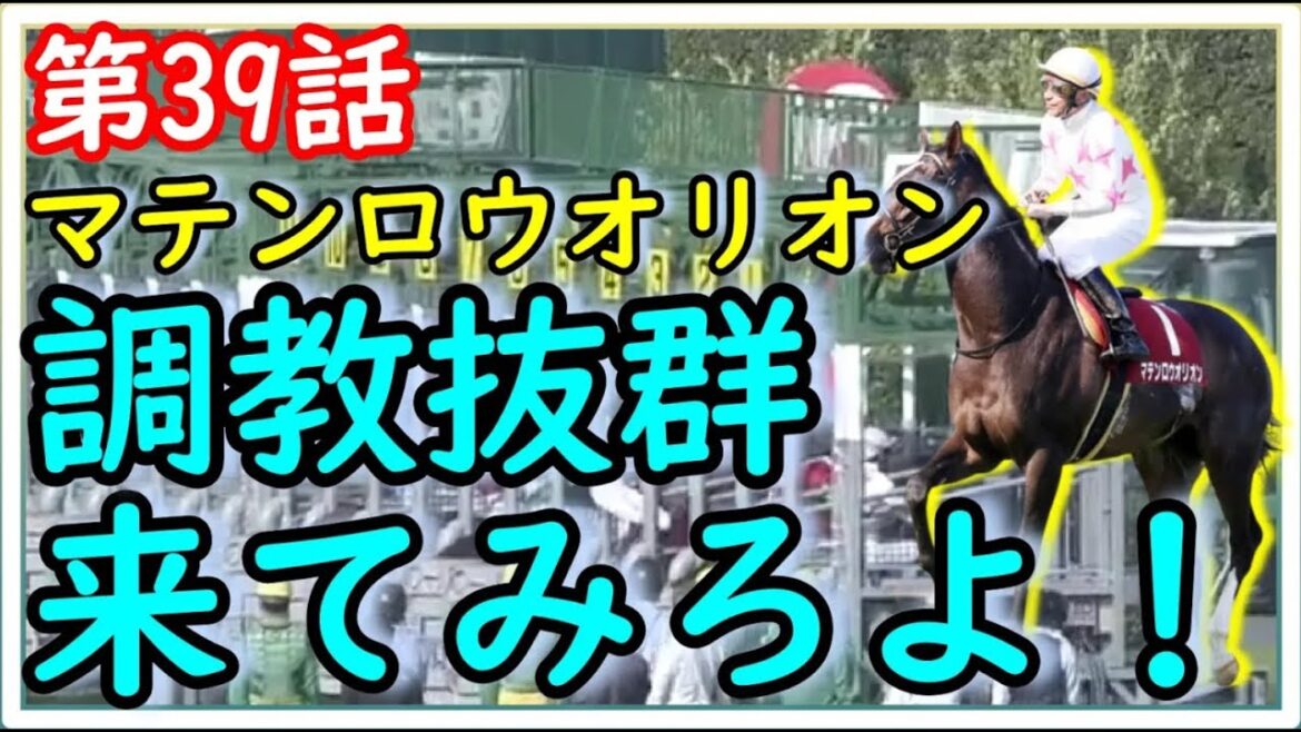 【再Up】トーマスのしくじり競馬人生。調教抜群！来てみろよ！！ニュージーランドT編。