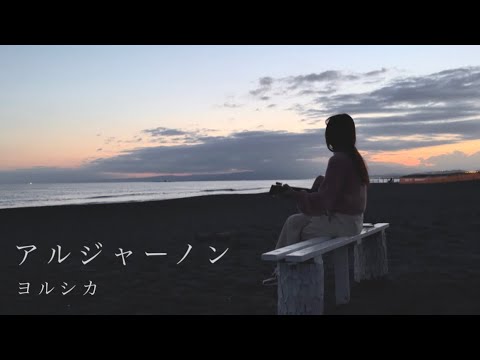 【海で弾き語り】アルジャーノン/ヨルシカ(Covered by sae)「夕暮れに、手を繋ぐ主題歌」 【海で弾き語り】アルジャーノン/ヨルシカ(Covered by sae)「夕暮れに、手を繋ぐ主題歌」