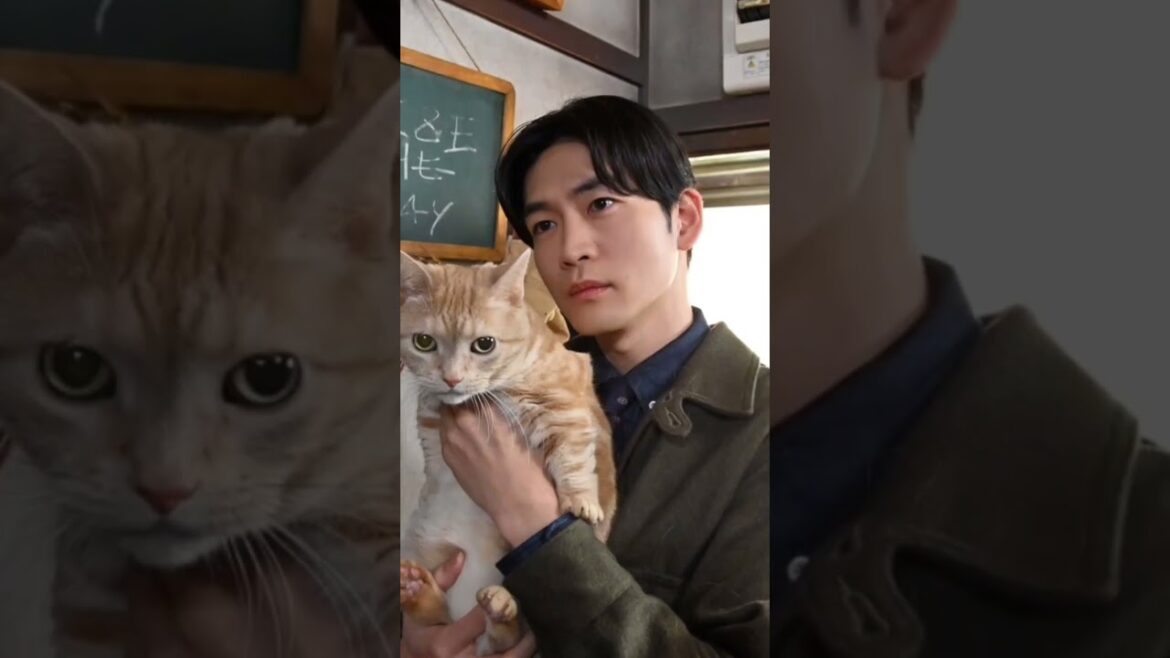 忍者に結婚は難しい オフショット集⑤【フジテレビ 木曜日10時ドラマ 忍者に結婚は難しい】#菜々緒#鈴木伸之#山本舞香#勝地涼#吉谷彩子#藤原大祐#筧美和子#ともさかりえ#古田新太#市村正親