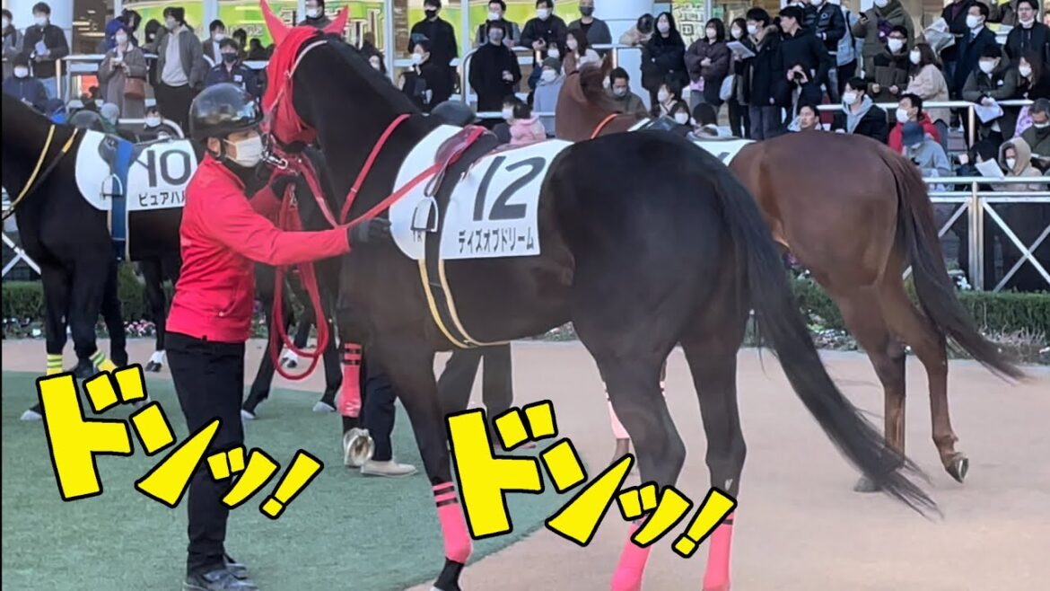 「タケシはよ来て！」とやる気の前掻きがすごいデイズオブドリーム😳