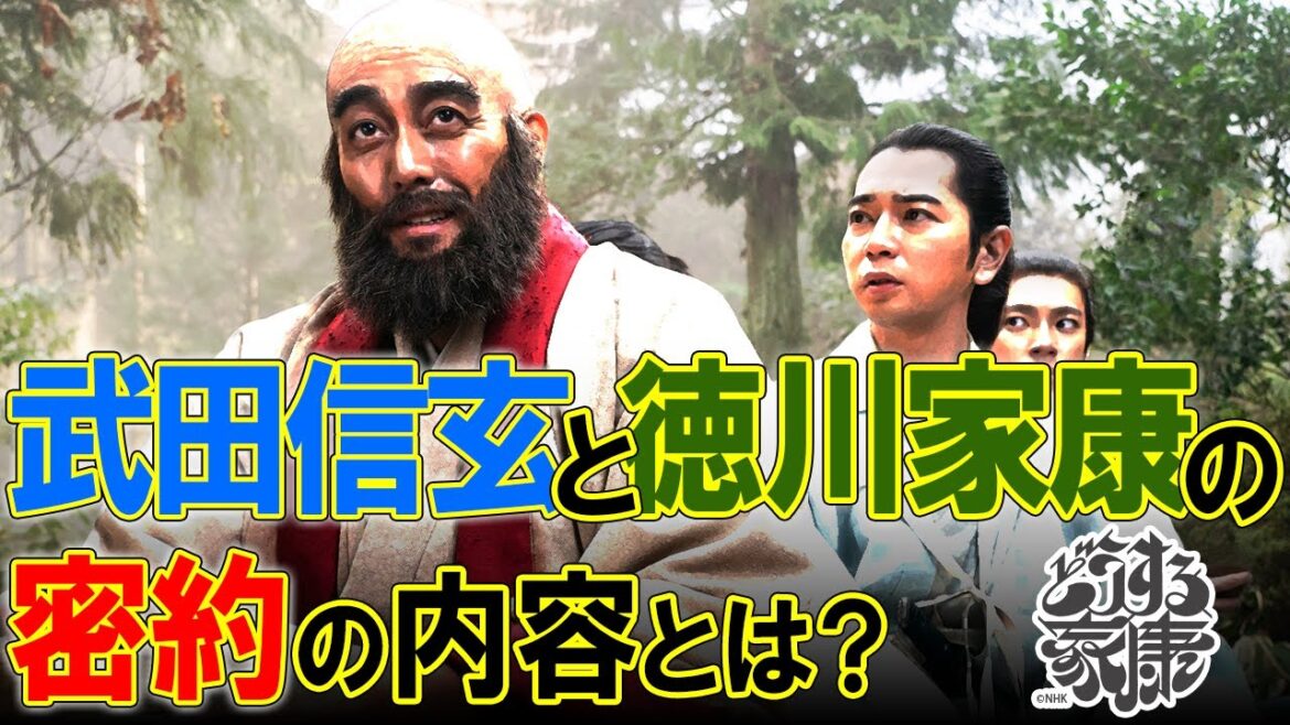信玄と家康が結んだ密約の内容＆今川氏真が掛川城へ逃げるまで #どうする家康