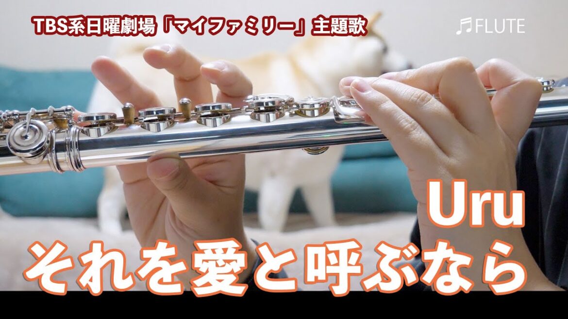 【フルート】それを愛と呼ぶなら/Uru 日曜劇場「マイファミリー」主題歌【演奏してみた】FLUTE