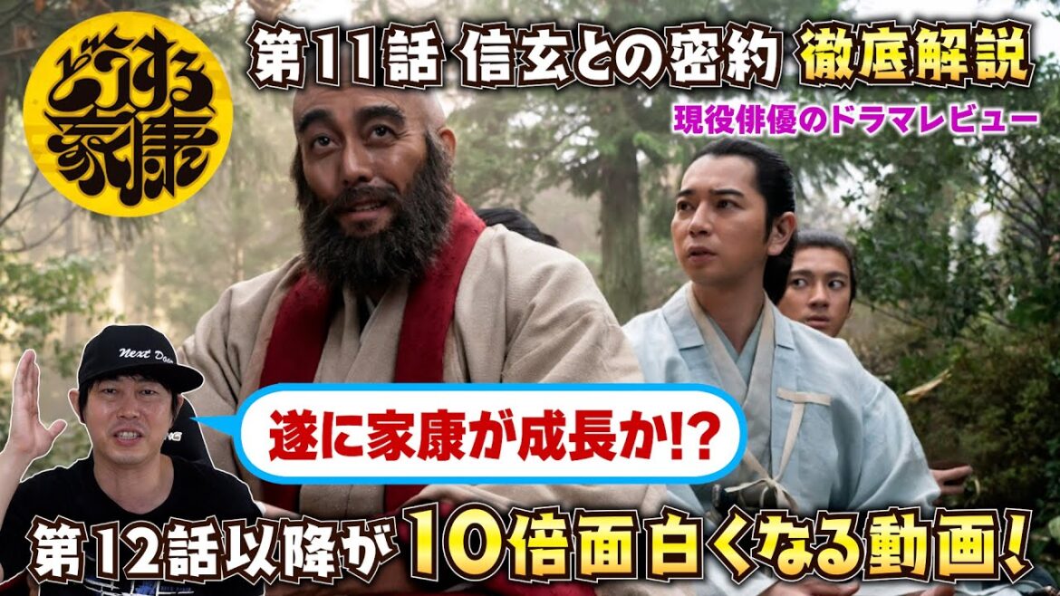 【12話以降が10倍面白くなる動画！】【どうする家康】第11話 信玄との密約《遂に家康が成長か！？》／現役俳優・檜尾健太が徹底解説！