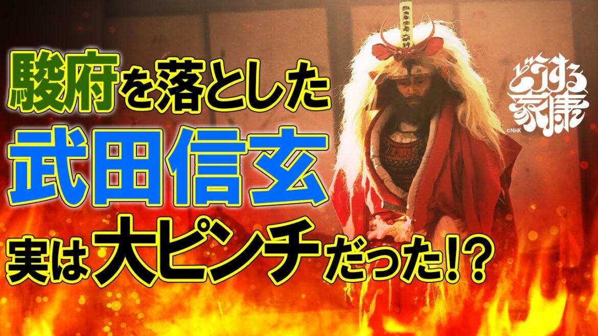 今川氏真VS徳川家康「掛川城の戦い」とその裏側 #どうする家康