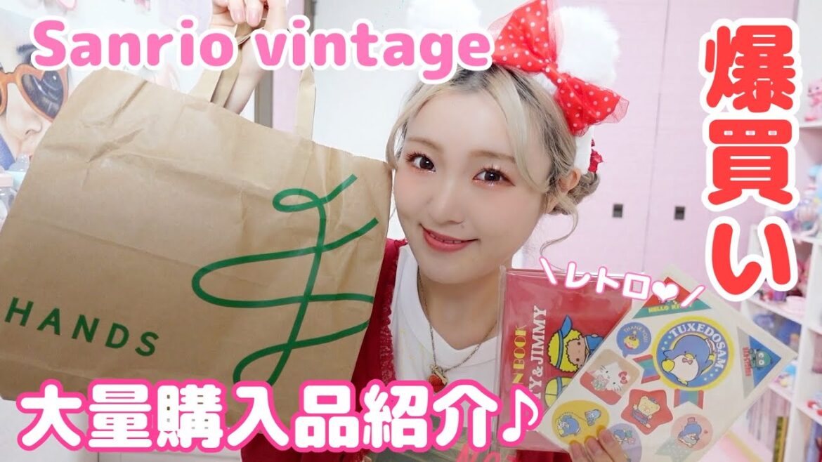 レトロサンリオグッズ大量❤︎すーぱーレトロエキスポサンリオ購入品紹介♪【サンリオvintage】