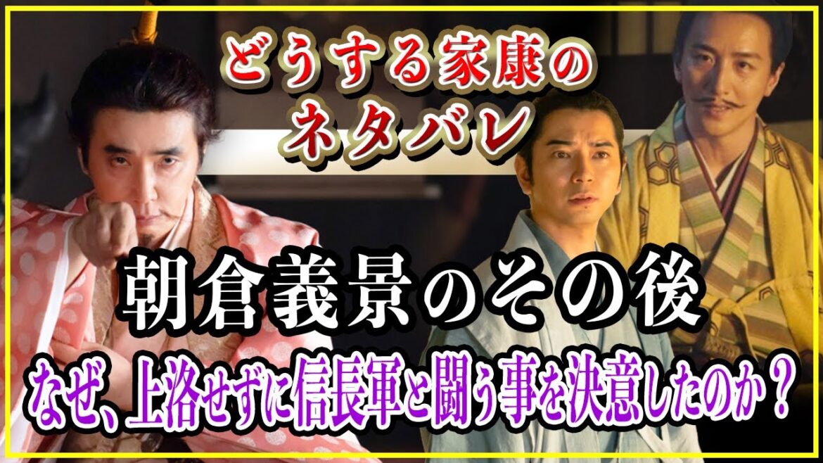 【どうする家康】朝倉義景のその後...なぜ、上洛せずに信長率いる幕府軍と闘う事を決意したのか？