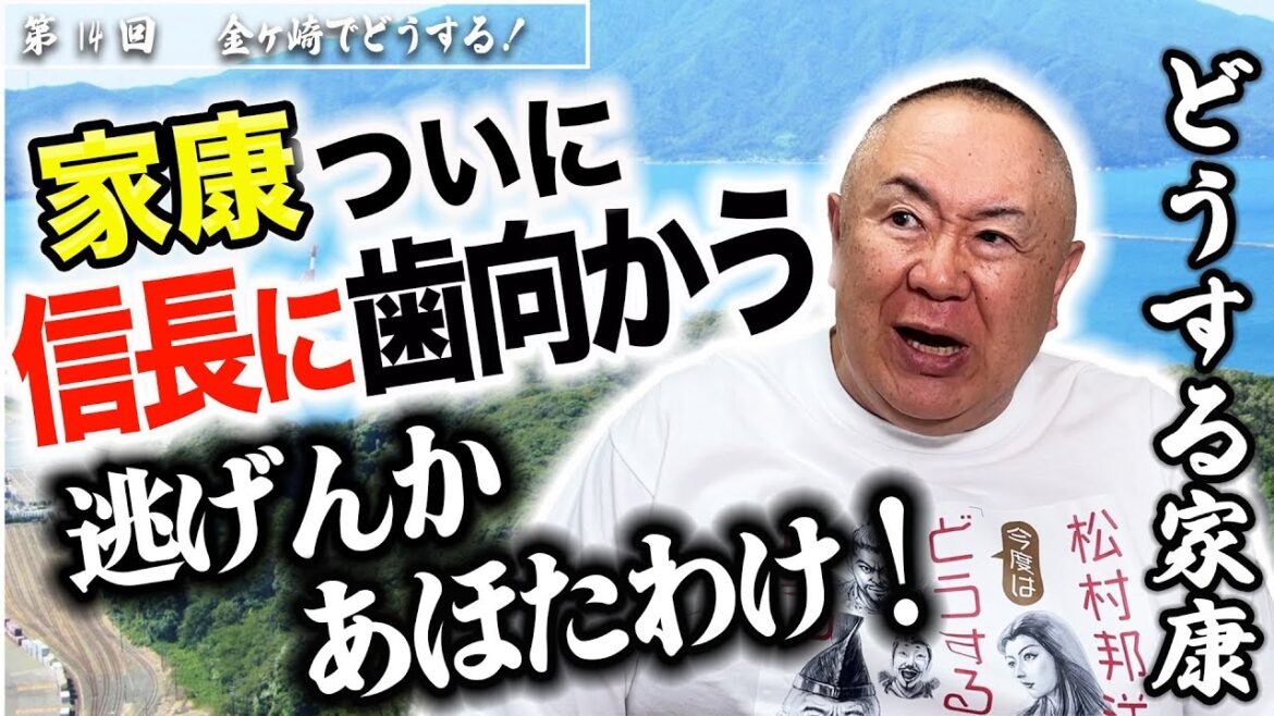 【あほたわけ】家康、ついに信長に歯向かう！｜NHK大河・モノマネ撮って出し「第14回 金ヶ崎でどうする！」【どうする家康】