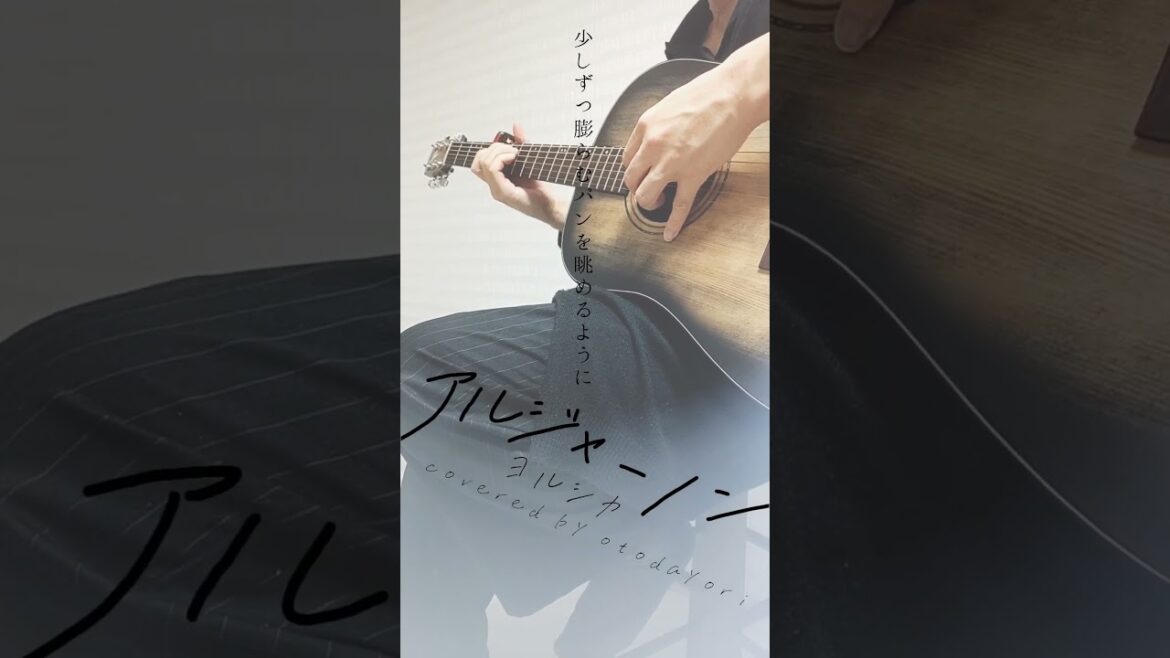 アルジャーノン/ヨルシカ【ギター弾き語り】ドラマ『夕暮れに、手をつなぐ』主題歌 (Acoustic covered by otodayori)【歌詞付】#shorts