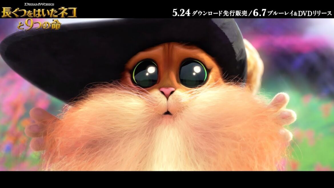 キレキレでモフモフな伝説ネコ、最後の命をめぐる大冒険！映画『長ぐつをはいたネコと9つの命』BD&DVD予告編