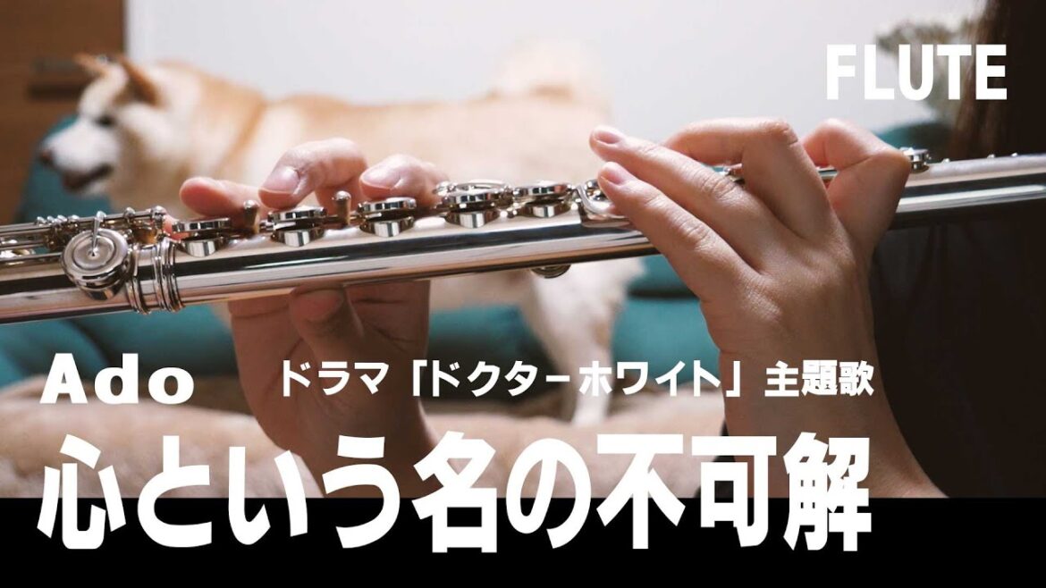 【フルート】心という名の不可解/Ado ドラマ「ドクターホワイト」主題歌【演奏してみた】FLUTE