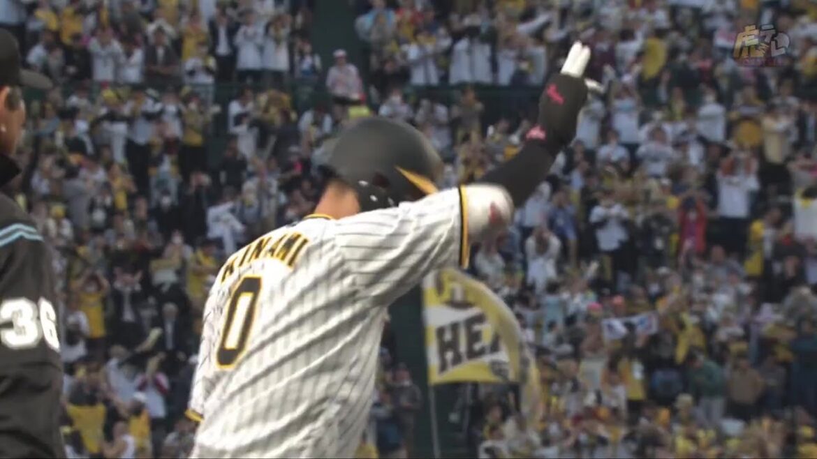 【先制】2回裏、木浪聖也選手が右中間フェンス直撃の先制タイムリースリーベースヒットを放つ！【2023/5/11Ｔ－Ｓ】