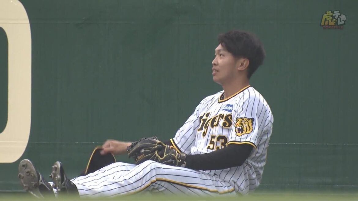 【懸命】男気溢れる熱いプレー！島田海吏選手がフェンスにぶつかりながらもナイスキャッチ！【2023/5/13Ｔ－ＤＢ】