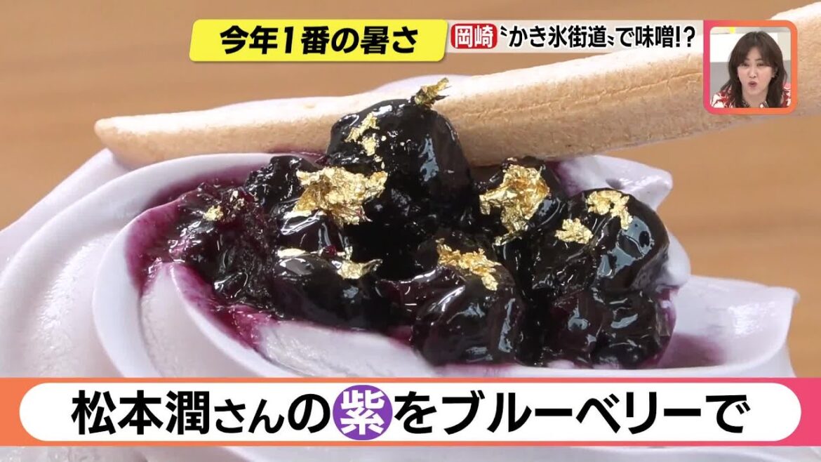 松本潤さんの”メンバーカラー”をブルーベリーで表現　大河ドラマにちなんだ「かき氷」登場　愛知 (23/05/17 19:05)