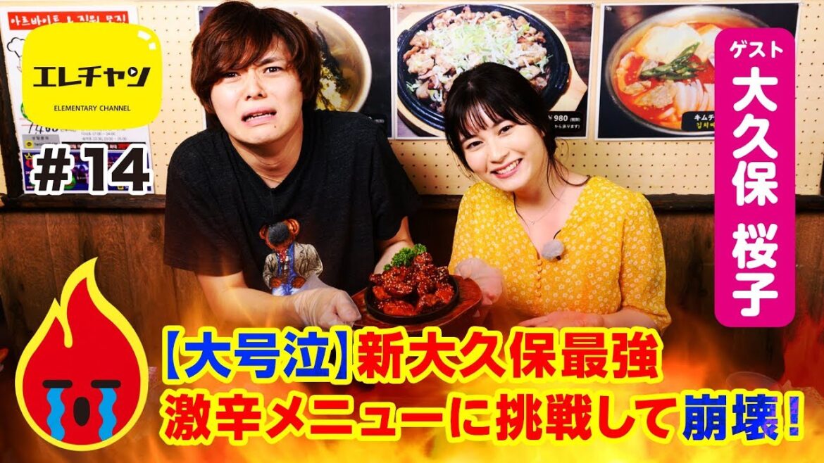【大号泣】新大久保最強激辛メニューに挑戦して崩壊！【エレチャン#14】